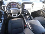 2023 F-150 Thumbnail 6
