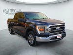 2023 F-150 Thumbnail 2
