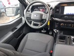 2023 F-150 Thumbnail 8