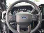 2023 F-150 Thumbnail 15