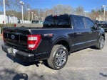 2023 F-150 Thumbnail 6
