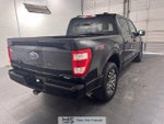 2023 F-150 Thumbnail 3