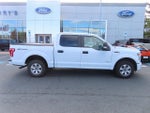 2015 F-150 Thumbnail 4