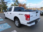 2015 F-150 Thumbnail 5