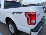 2015 F-150 Thumbnail 10