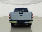 2019 F-150 Thumbnail 7