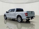 2019 F-150 Thumbnail 10