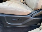 2019 F-150 Thumbnail 14