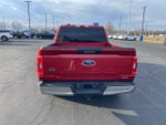 2021 F-150 Thumbnail 4
