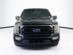 2021 F-150 Thumbnail 6