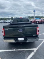 2021 F-150 Thumbnail 7