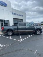 2021 F-150 Thumbnail 11