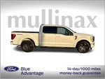 2022 F-150 Thumbnail 4