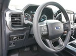 2023 F-150 Thumbnail 11