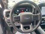 2023 F-150 Thumbnail 19