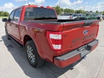 2023 F-150 Thumbnail 6