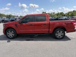 2023 F-150 Thumbnail 7