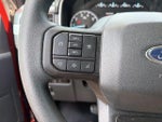 2023 F-150 Thumbnail 18