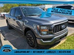 2023 F-150 Thumbnail 1