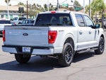 2023 F-150 Thumbnail 4