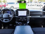 2023 F-150 Thumbnail 12