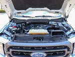 2023 F-150 Thumbnail 28