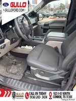 2019 F-150 Thumbnail 4