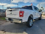 2020 F-150 Thumbnail 6