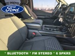 2021 F-150 Thumbnail 10