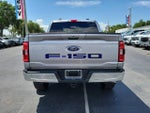 2021 F-150 Thumbnail 8