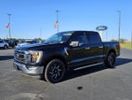 2023 F-150 Thumbnail 3