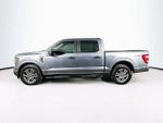 2023 F-150 Thumbnail 4