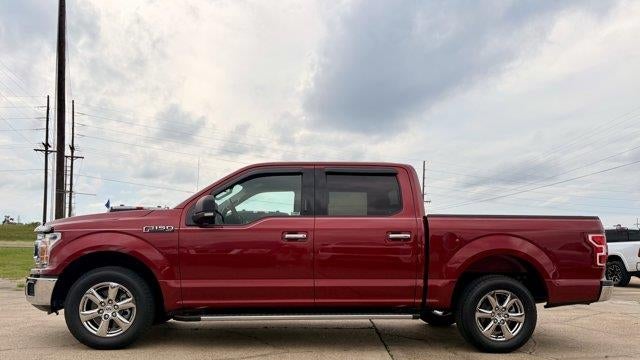 Preowned 2019 Ford F-150 XL for Sale