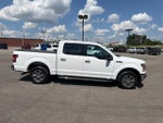 2019 F-150 Thumbnail 4