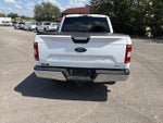 2019 F-150 Thumbnail 6