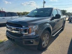 2019 F-150 Thumbnail 3