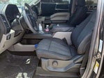 2020 F-150 Thumbnail 4