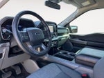 2021 F-150 Thumbnail 2