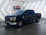 2021 F-150 Thumbnail 4