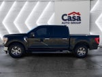 2021 F-150 Thumbnail 7