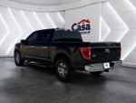 2021 F-150 Thumbnail 10