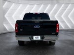 2021 F-150 Thumbnail 11
