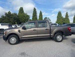 2021 F-150 Thumbnail 8