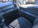 2021 F-150 Thumbnail 14