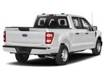 2022 F-150 Thumbnail 10