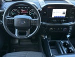 2023 F-150 Thumbnail 13