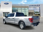 2023 F-150 Thumbnail 6