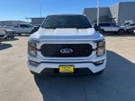 2023 F-150 Thumbnail 8