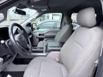 2020 F-150 Thumbnail 2