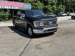 2021 F-150 Thumbnail 1